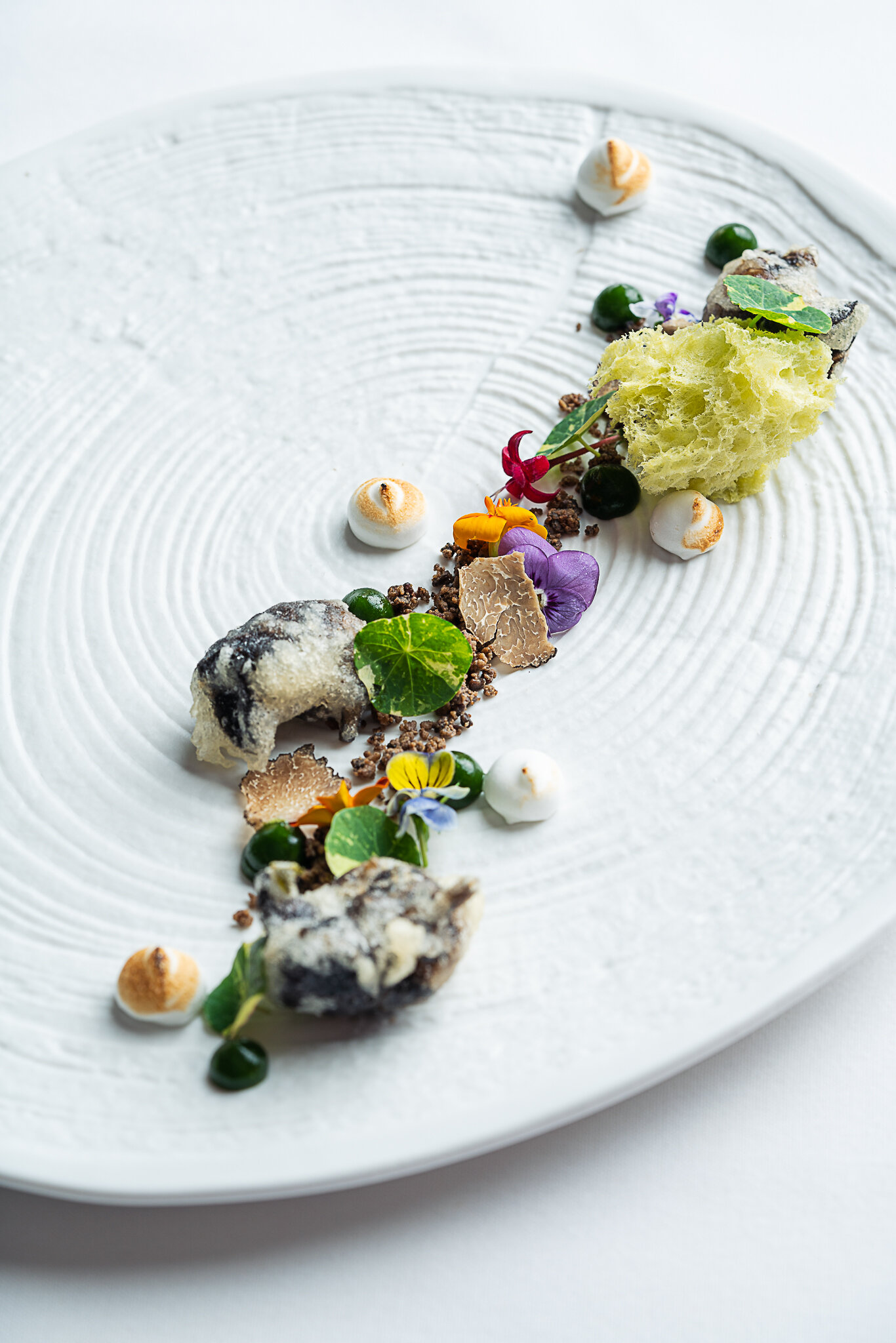 Claudia_PRINT (2019 - 11.21)-12.jpg