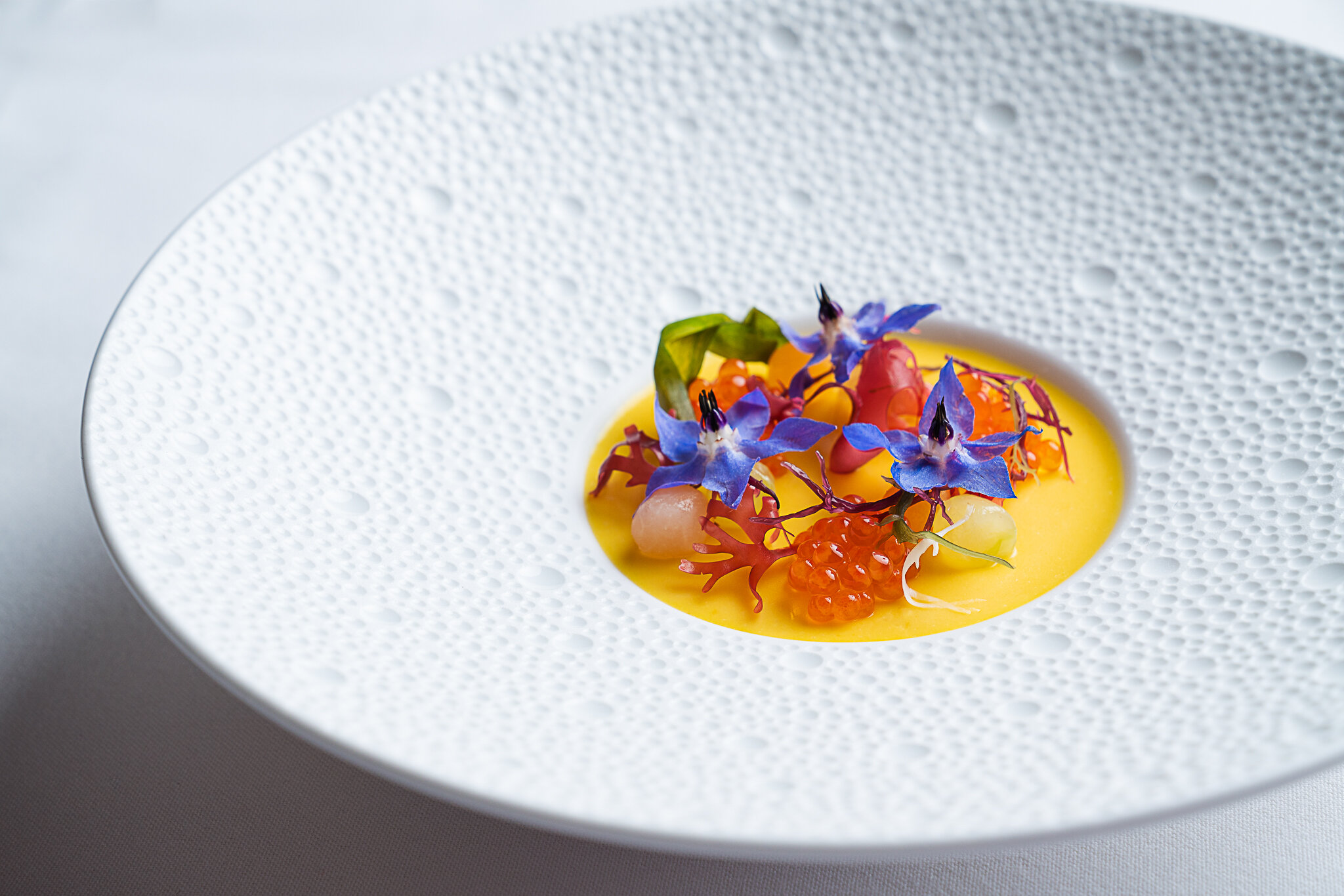 Claudia_PRINT (2019 - 11.21)-6.jpg